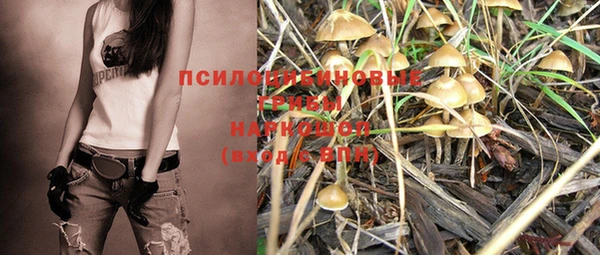 первитин Верея