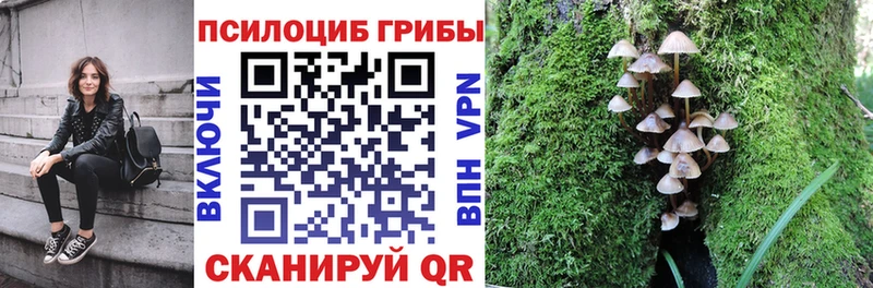 Псилоцибиновые грибы мухоморы  Купить  Пошехонье 