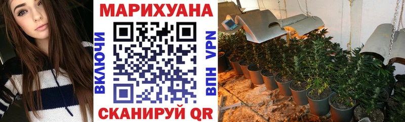 Конопля White Widow  Купить закладки  Пошехонье 
